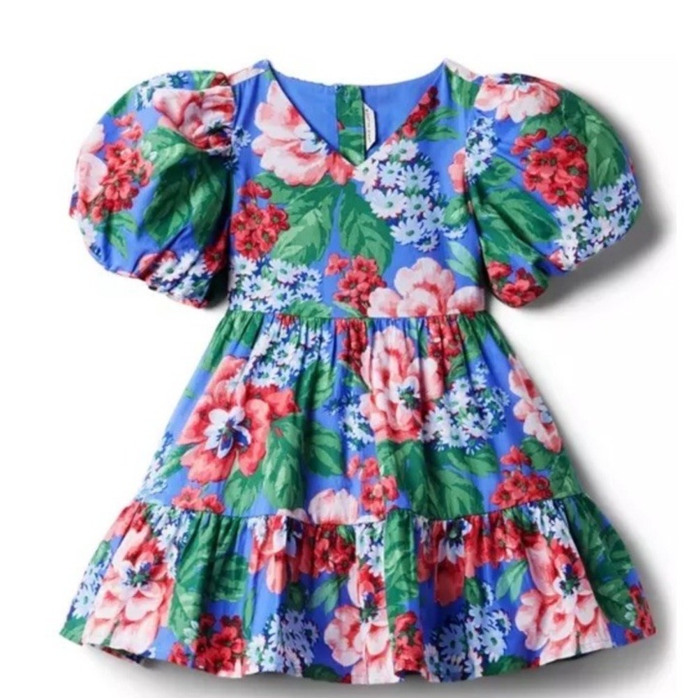 Janie And Jack Sz 3 Toddler Girl Blue Pink Floral Midday Puff Sleeve Lined Dress